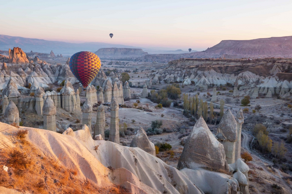 How Much Price About Tour - Travels